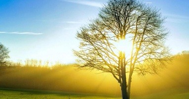 金年会企业文化