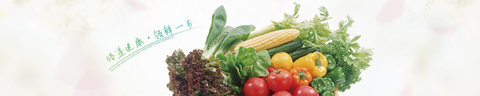 金年会金字招牌